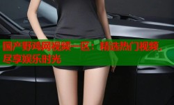 国产野鸡网视频一区：精选热门视频，尽享娱乐时光