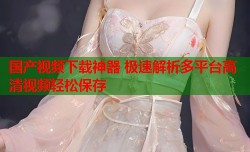 国产视频下载神器 极速解析多平台高清视频轻松保存
