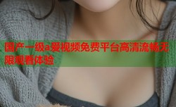 国产一级a爱视频免费平台高清流畅无限观看体验