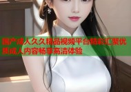 国产成人久久精品视频平台精彩汇聚优质成人内容畅享高清体验