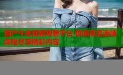 国产午夜视频观看平台 极速高清流畅体验尽享精彩内容