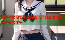 国产午夜视频免费观看平台高清流畅全格式播放体验