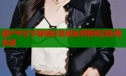 国产中文字幕精彩呈现免费看高清影视资源