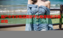 国产中文字高清播放平台畅享精彩内容体验