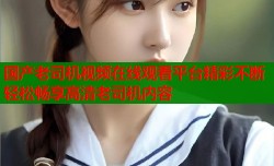 国产老司机视频在线观看平台精彩不断轻松畅享高清老司机内容