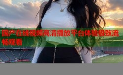国产在线视频高清播放平台体验极致流畅观看