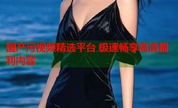 国产污视频精选平台 极速畅享高清福利内容
