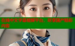 在线中文字幕视频平台，尽享国产精彩内容