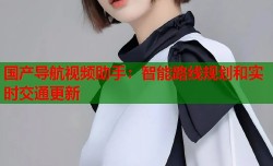 国产导航视频助手：智能路线规划和实时交通更新
