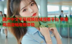 国产中文字幕视频在线观看平台 极速高清流畅观看体验