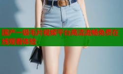 国产一级毛片视频平台高清流畅免费在线观看体验