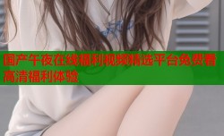国产午夜在线福利视频精选平台免费看高清福利体验