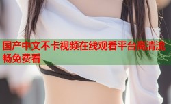 国产中文不卡视频在线观看平台高清流畅免费看