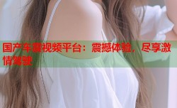 国产车震视频平台：震撼体验，尽享激情驾驶