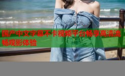 国产中文字幕不卡视频平台畅享高清流畅观影体验