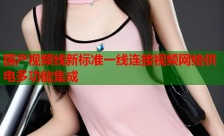 国产视频线新标准一线连接视频网络供电多功能集成