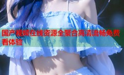 国产视频在线资源全聚合高清流畅免费看体验