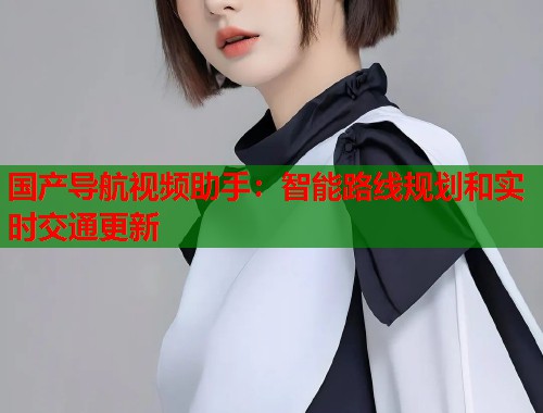 国产导航视频助手：智能路线规划和实时交通更新  第1张