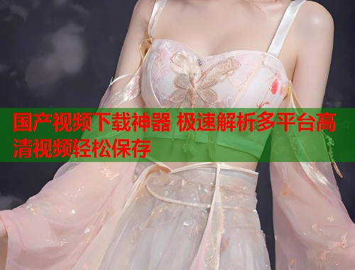 国产视频下载神器 极速解析多平台高清视频轻松保存  第1张